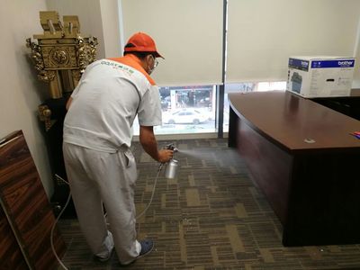 高效除甲醛實(shí)戰(zhàn)案例解析